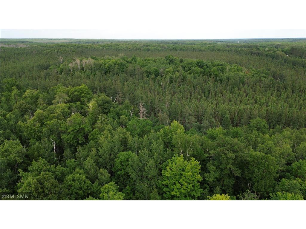 30288 125th Place Beaver Twp MN 55783 7106484 image100