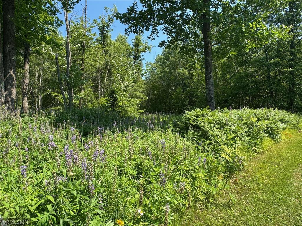 30288 125th Place Beaver Twp MN 55783 7106484 image61