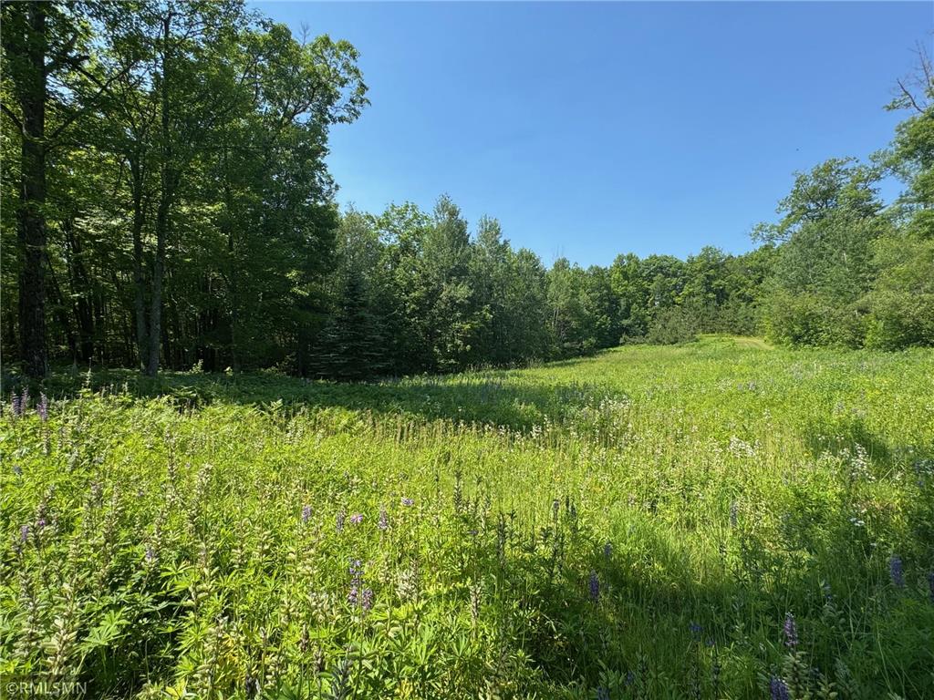 30288 125th Place Beaver Twp MN 55783 7106484 image63