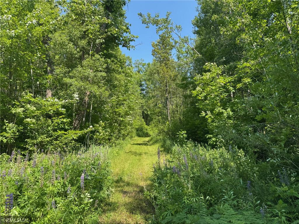 30288 125th Place Beaver Twp MN 55783 7106484 image64