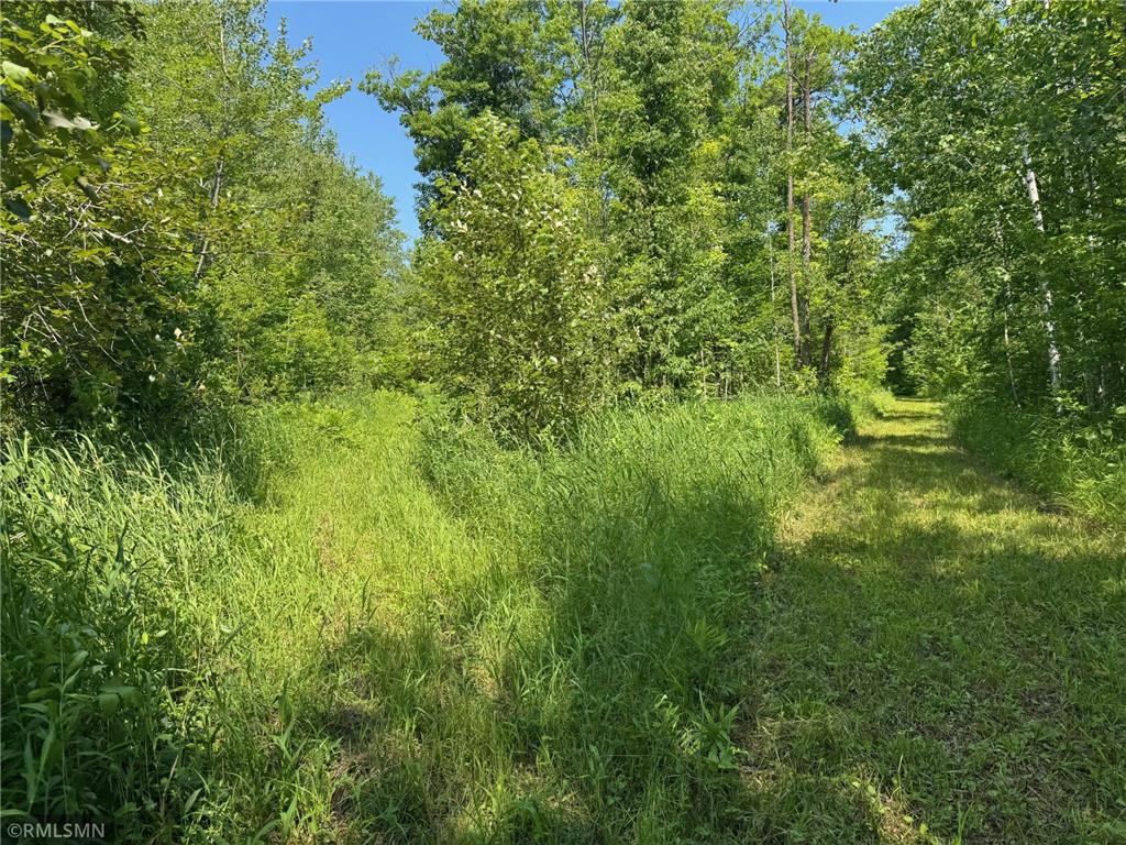 30288 125th Place Beaver Twp MN 55783 7106484 image65