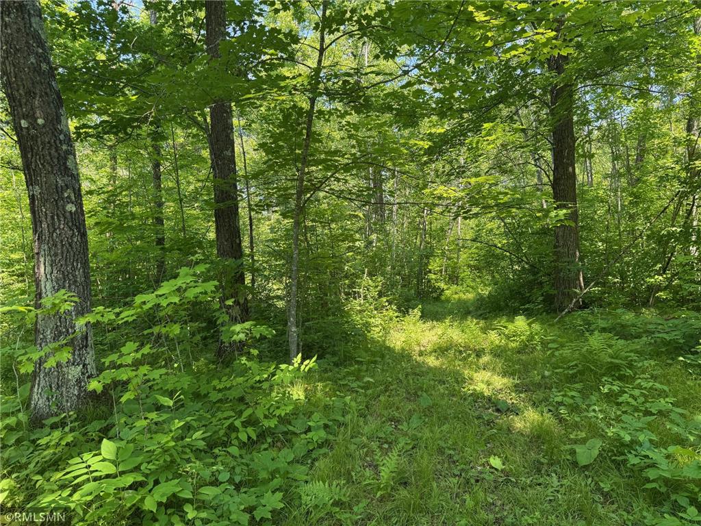 30288 125th Place Beaver Twp MN 55783 7106484 image66