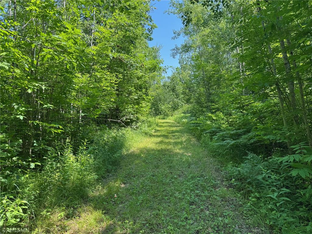 30288 125th Place Beaver Twp MN 55783 7106484 image67