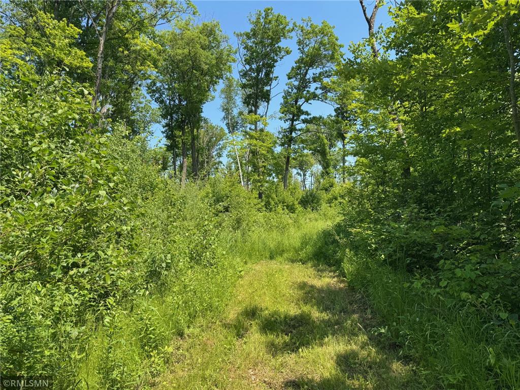 30288 125th Place Beaver Twp MN 55783 7106484 image68