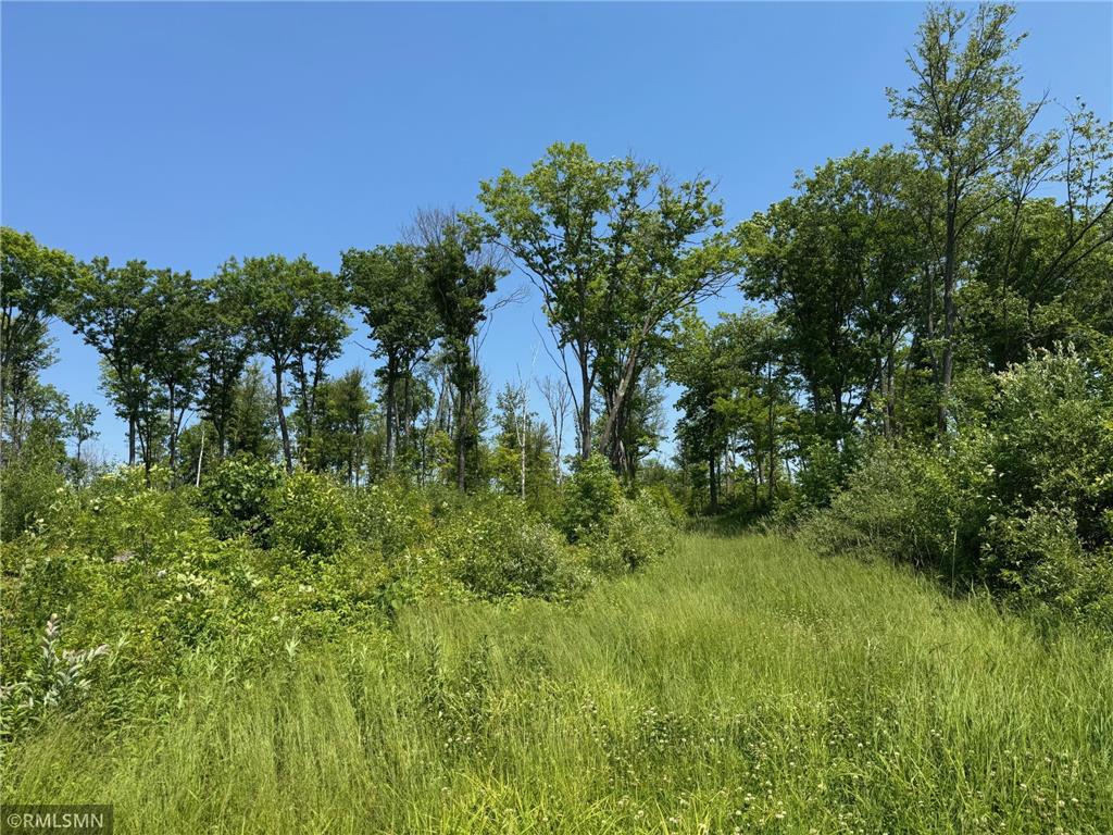 30288 125th Place Beaver Twp MN 55783 7106484 image69