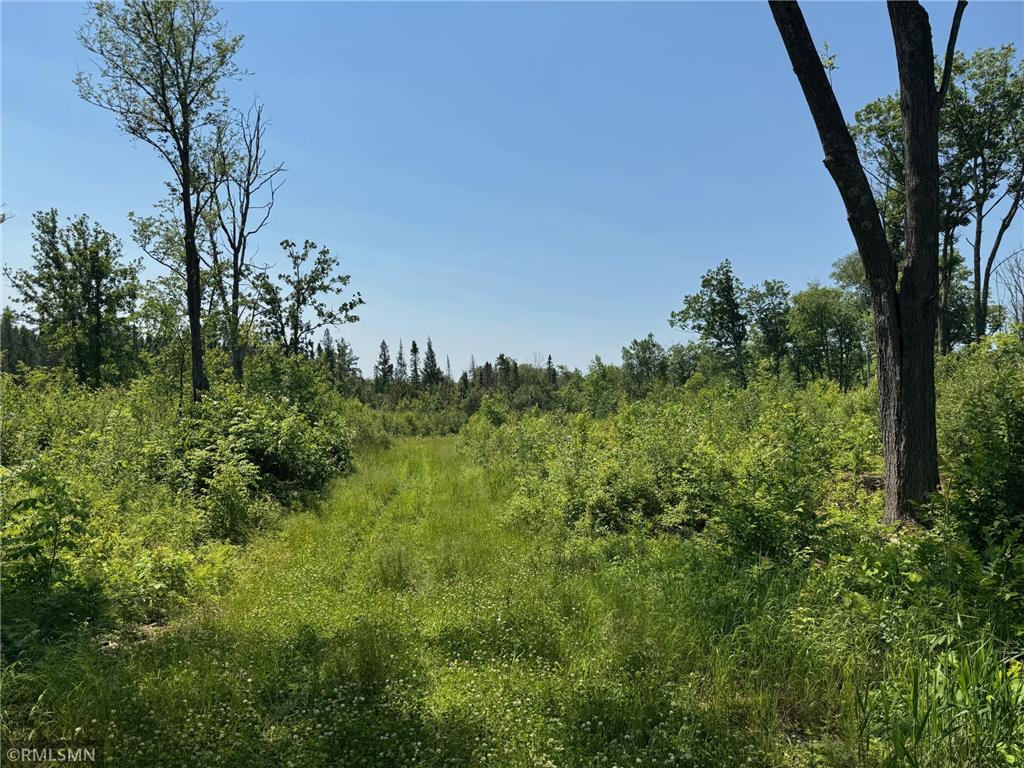 30288 125th Place Beaver Twp MN 55783 7106484 image70