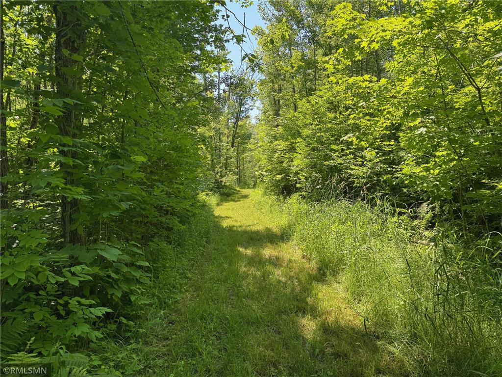 30288 125th Place Beaver Twp MN 55783 7106484 image71