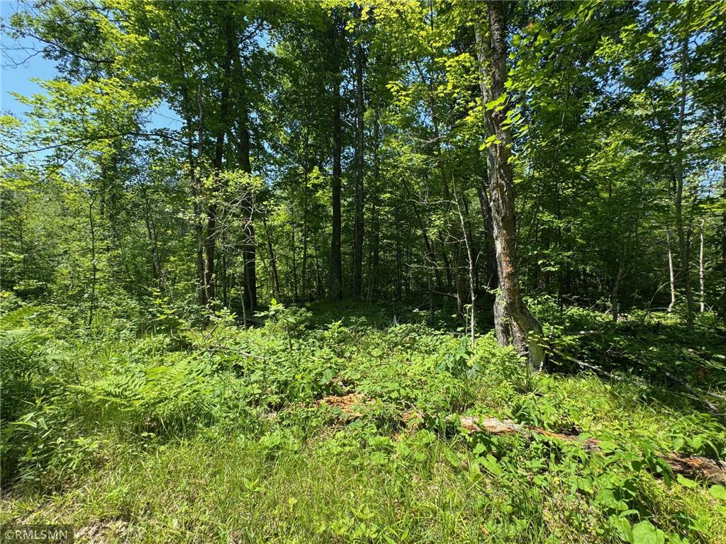 30288 125th Place Beaver Twp MN 55783 7106484 image72