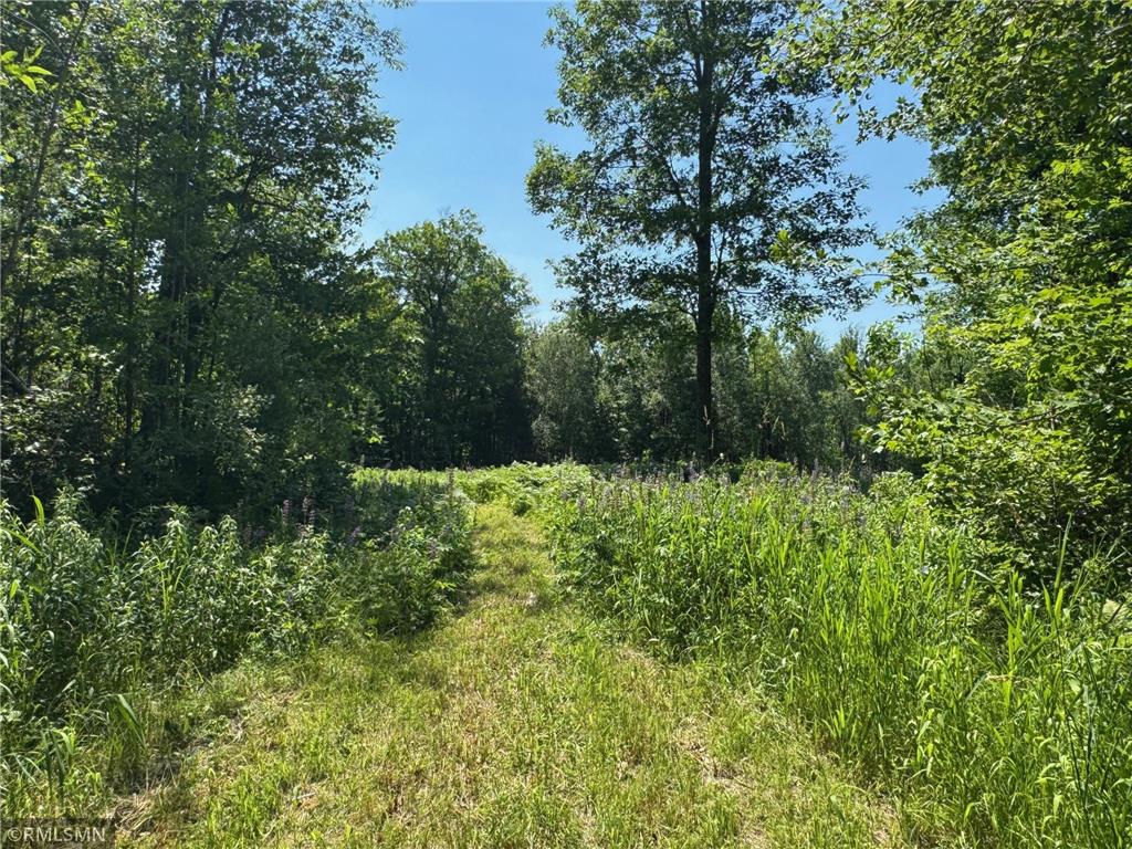 30288 125th Place Beaver Twp MN 55783 7106484 image73