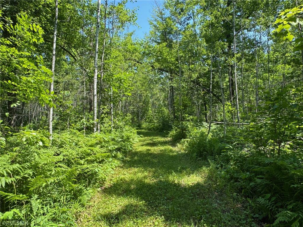 30288 125th Place Beaver Twp MN 55783 7106484 image74