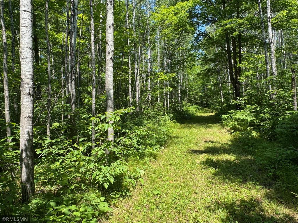 30288 125th Place Beaver Twp MN 55783 7106484 image75