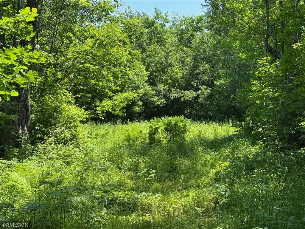 30288 125th Place Beaver Twp MN 55783 7106484 image76
