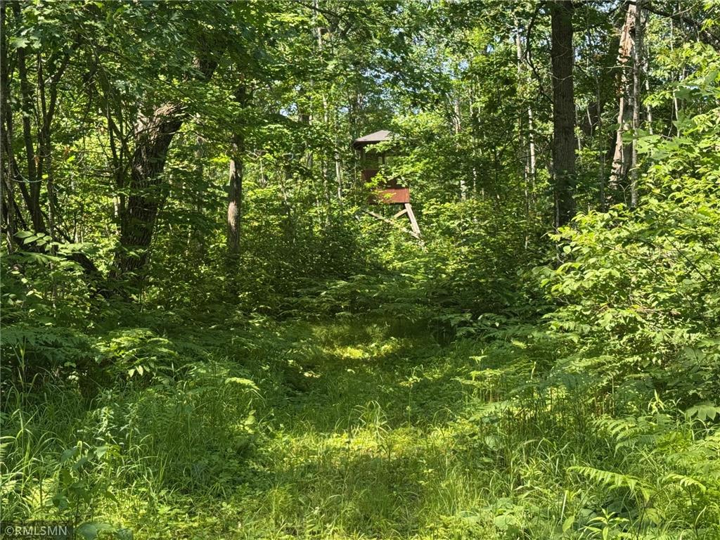 30288 125th Place Beaver Twp MN 55783 7106484 image77