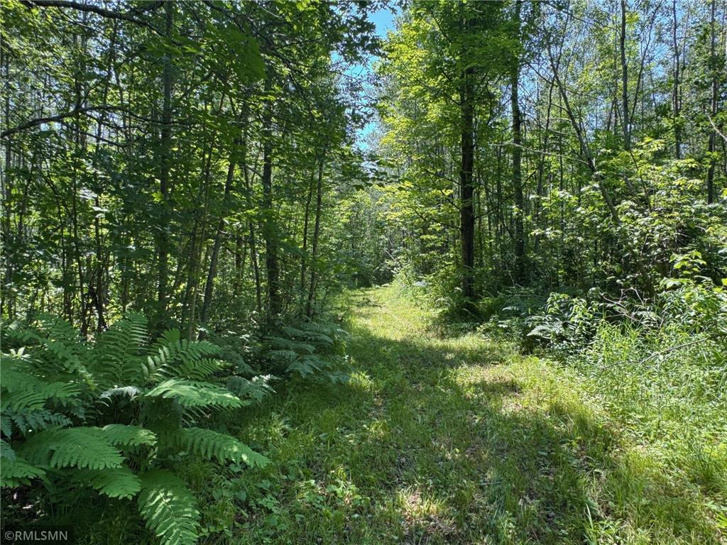 30288 125th Place Beaver Twp MN 55783 7106484 image81