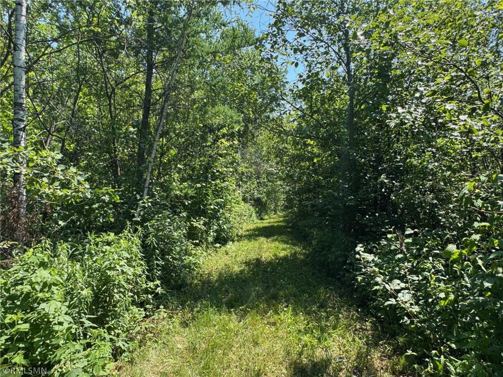 30288 125th Place Beaver Twp MN 55783 7106484 image83