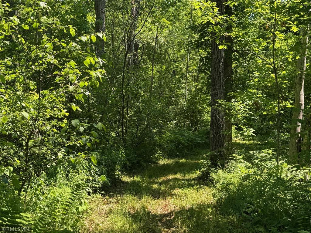 30288 125th Place Beaver Twp MN 55783 7106484 image84
