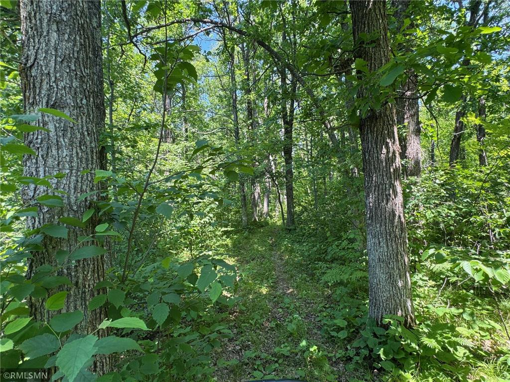 30288 125th Place Beaver Twp MN 55783 7106484 image85
