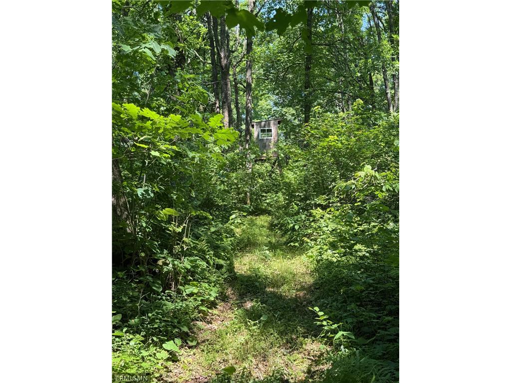 30288 125th Place Beaver Twp MN 55783 7106484 image86