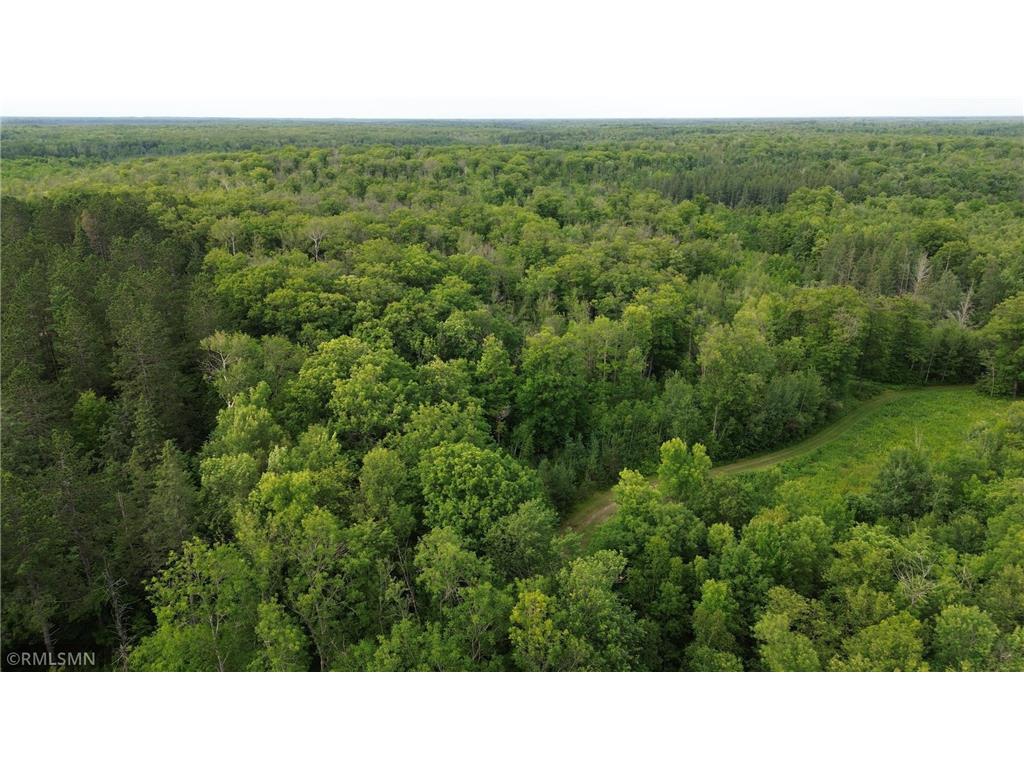 30288 125th Place Beaver Twp MN 55783 7106484 image88