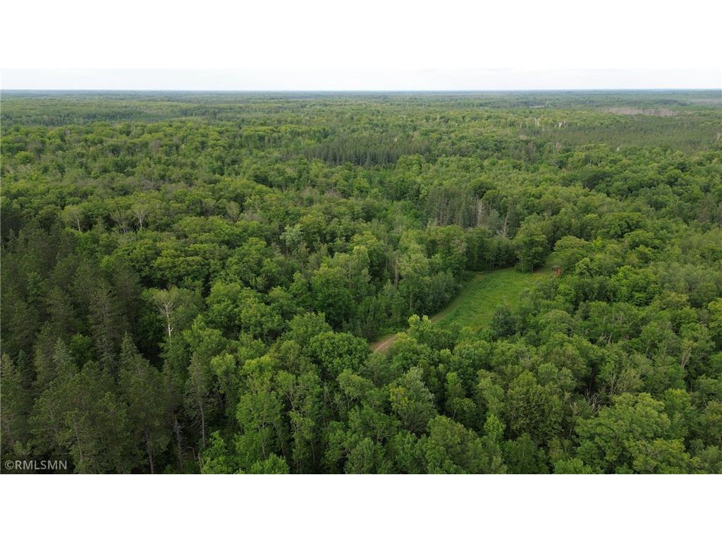 30288 125th Place Beaver Twp MN 55783 7106484 image90