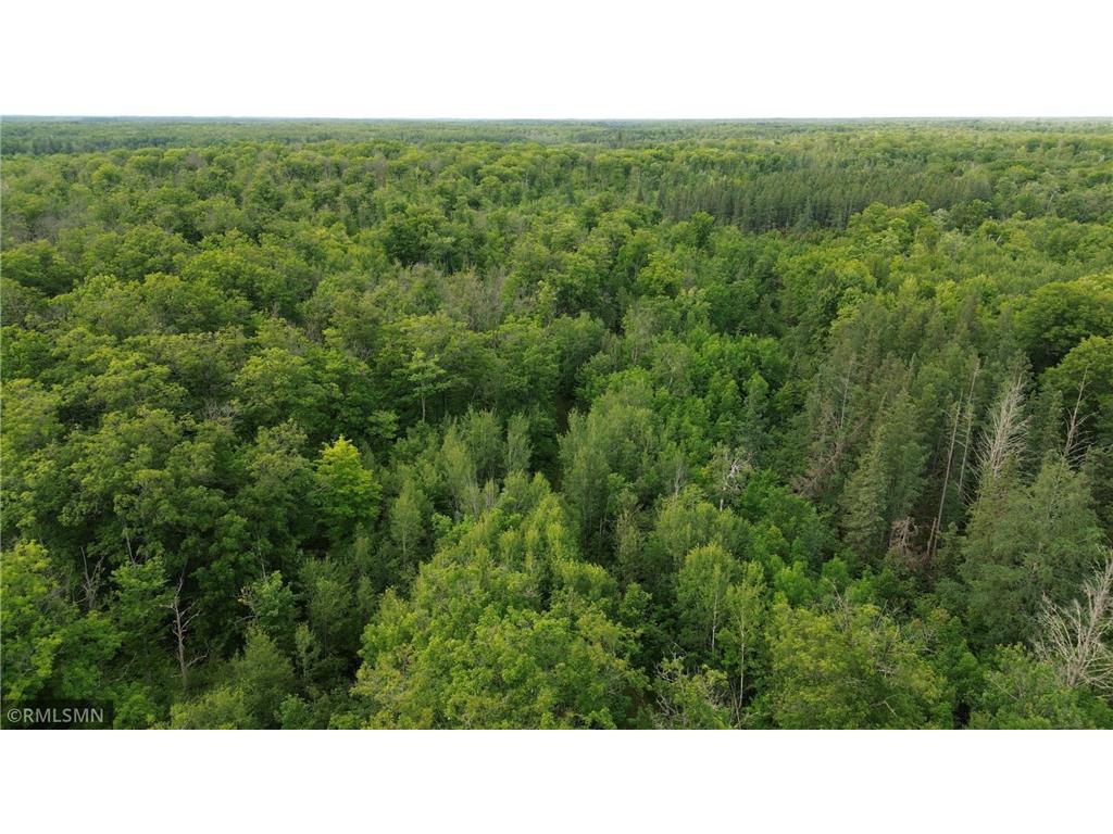 30288 125th Place Beaver Twp MN 55783 7106484 image93