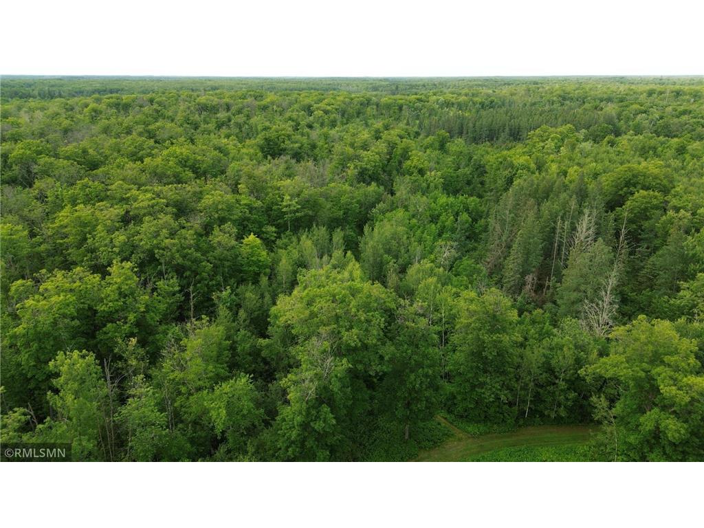 30288 125th Place Beaver Twp MN 55783 7106484 image94