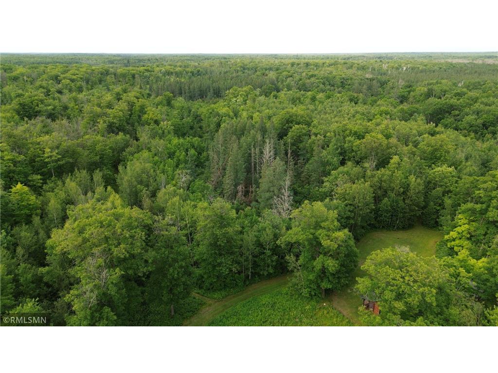 30288 125th Place Beaver Twp MN 55783 7106484 image95