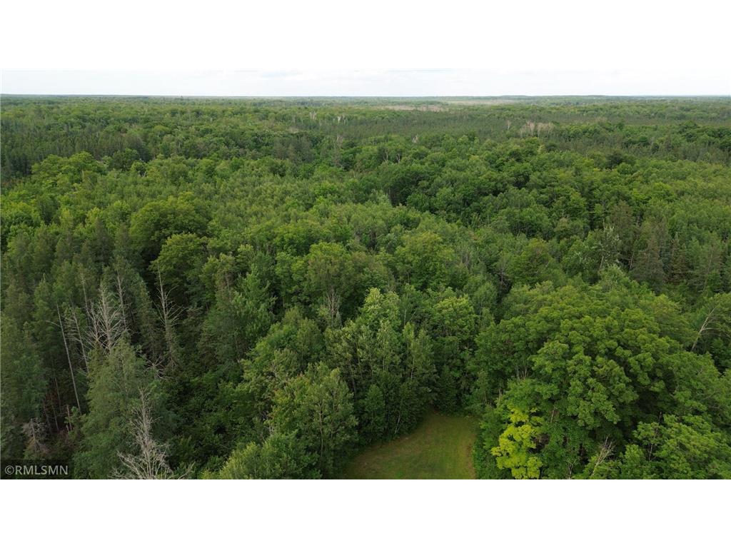 30288 125th Place Beaver Twp MN 55783 7106484 image97