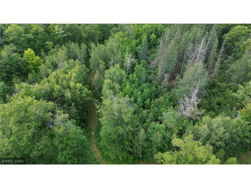 30288 125th Place Beaver Twp MN 55783 7106484 image98