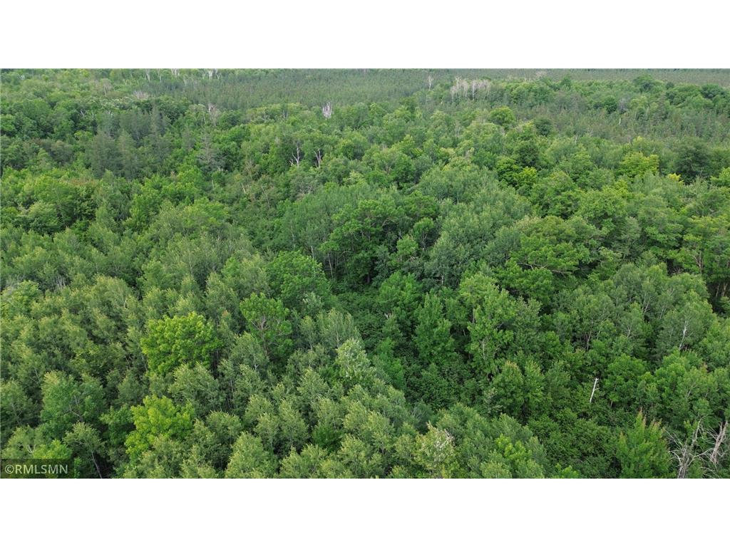 30288 125th Place Beaver Twp MN 55783 7106484 image99