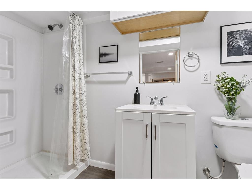 3029 Texas Avenue S Saint Louis Park MN 55426 7041694 image37