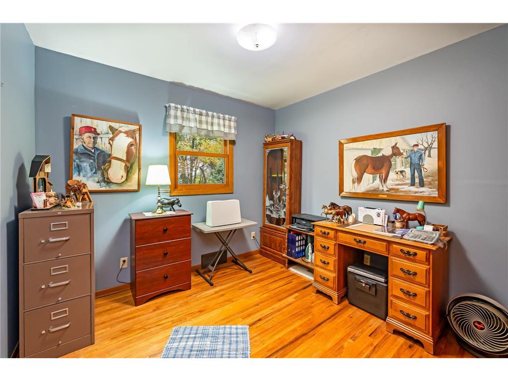 30298 20th Street Freedom Twp MN 56078 7050669 image10