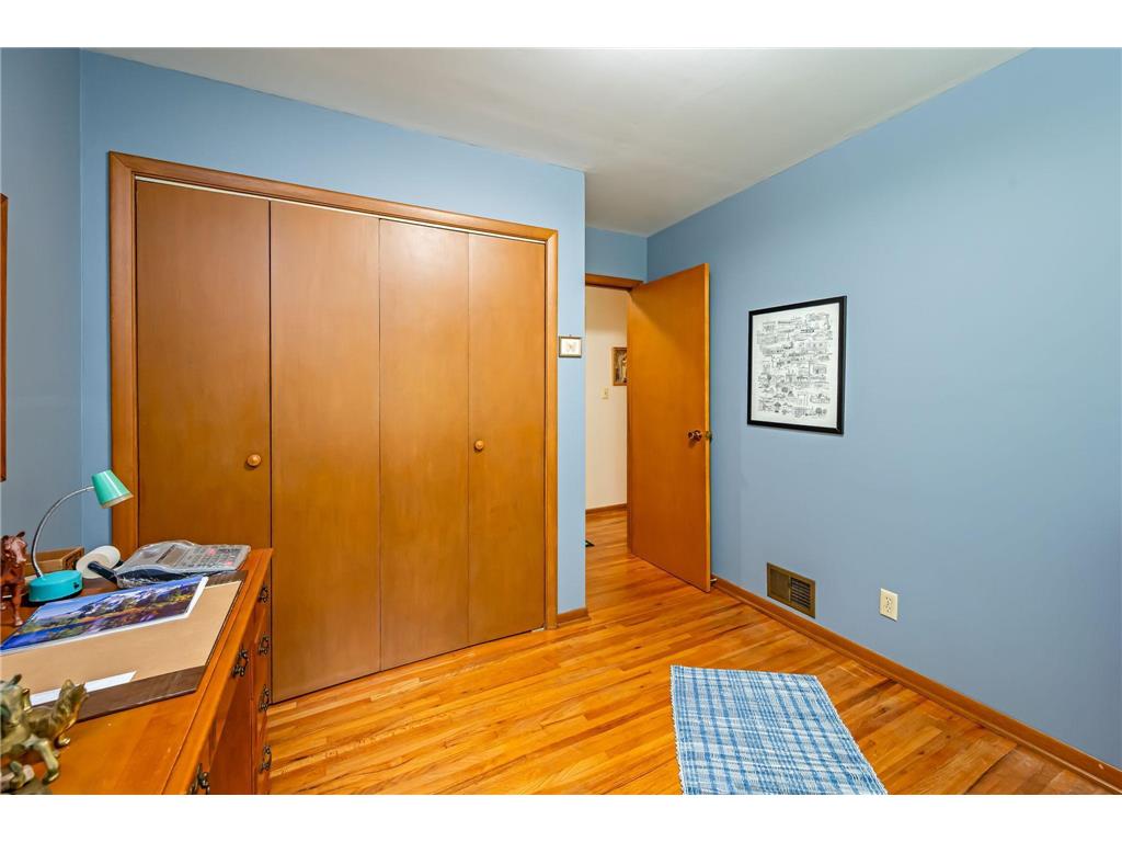 30298 20th Street Freedom Twp MN 56078 7050669 image11