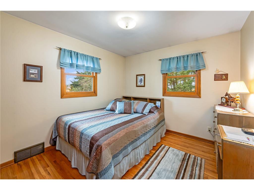 30298 20th Street Freedom Twp MN 56078 7050669 image14