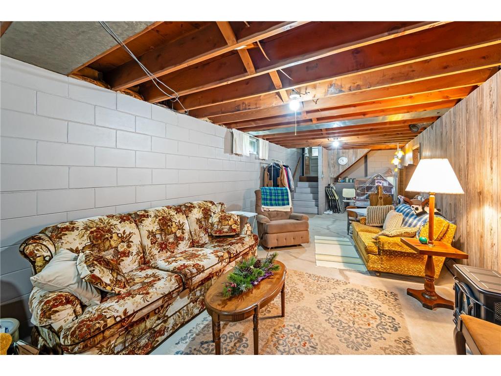 30298 20th Street Freedom Twp MN 56078 7050669 image21