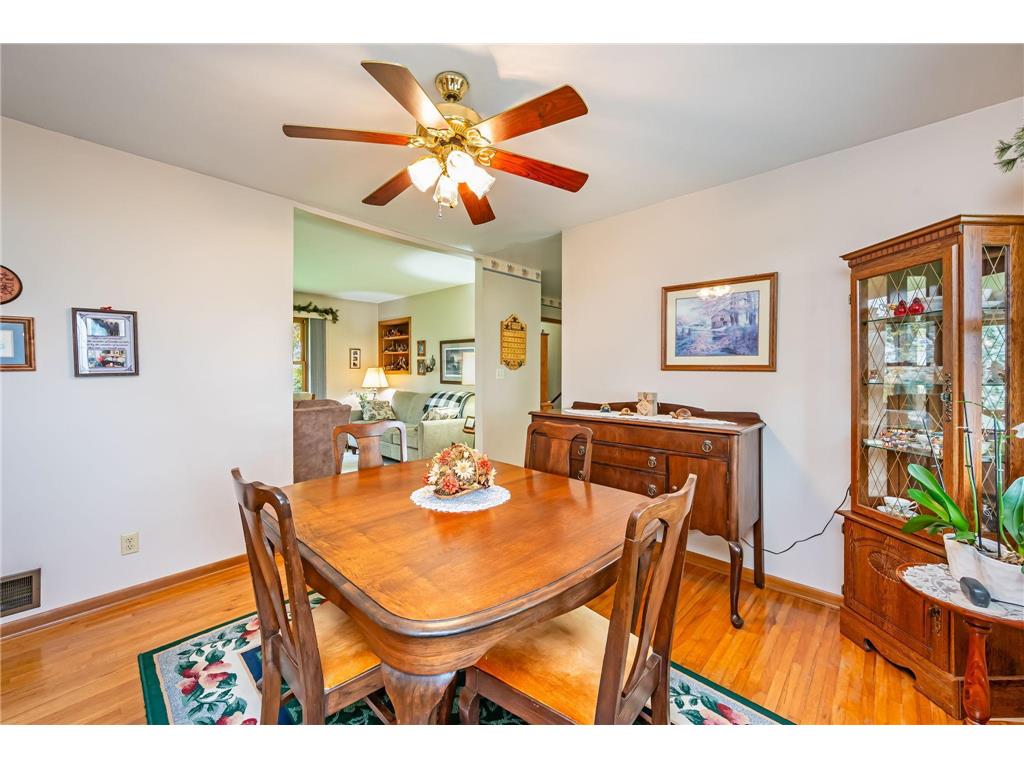 30298 20th Street Freedom Twp MN 56078 7050669 image4