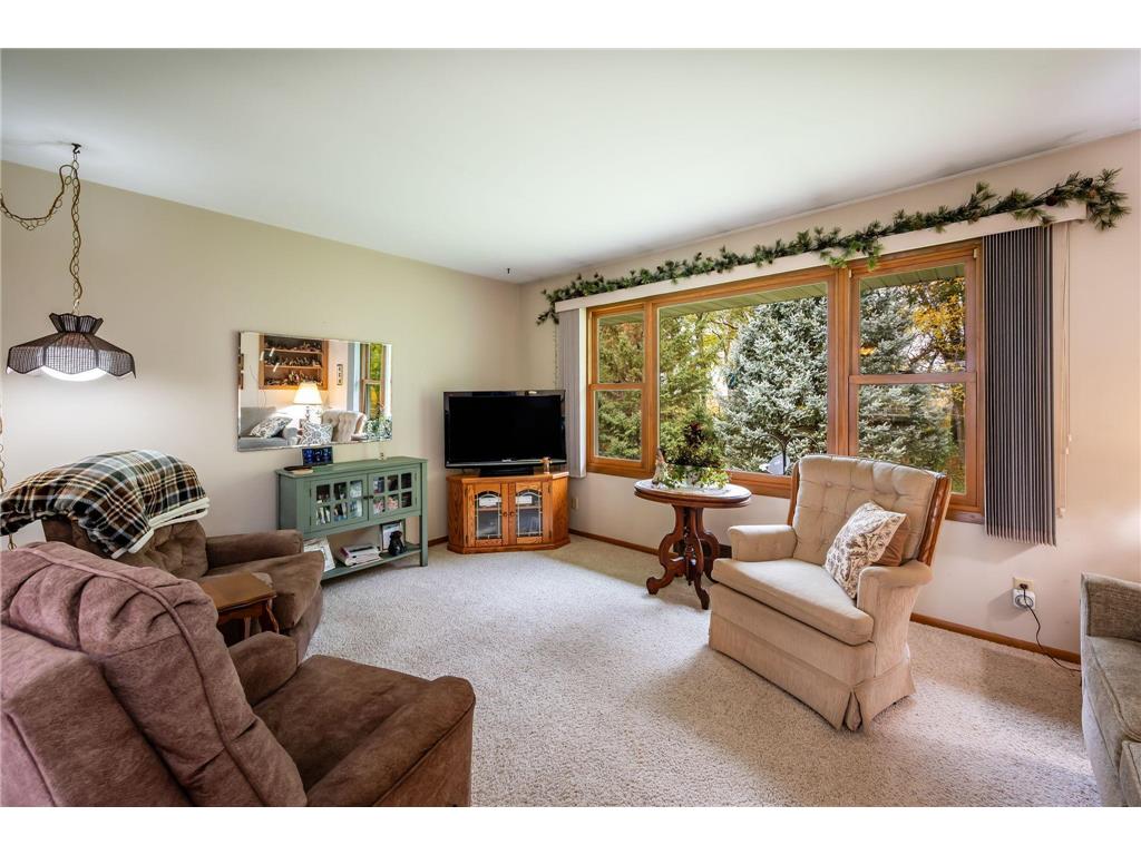 30298 20th Street Freedom Twp MN 56078 7050669 image6