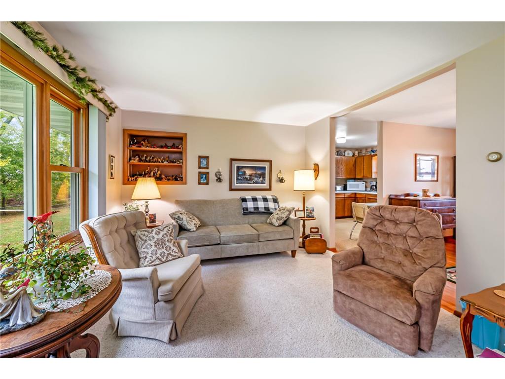 30298 20th Street Freedom Twp MN 56078 7050669 image7