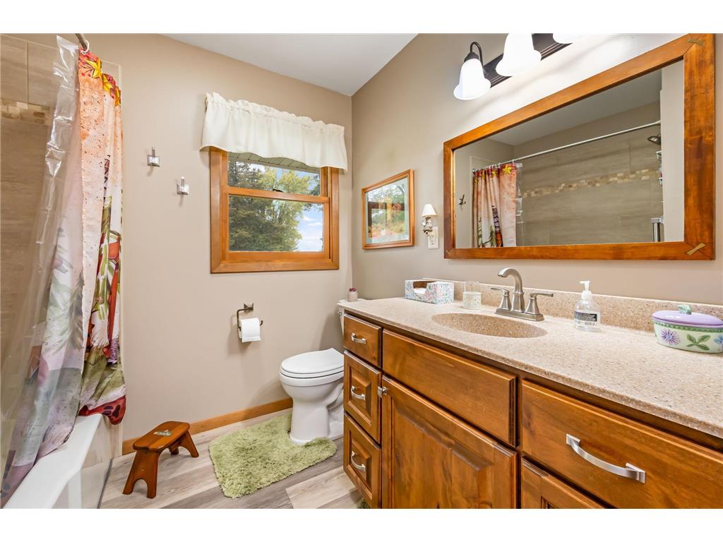 30298 20th Street Freedom Twp MN 56078 7050669 image8