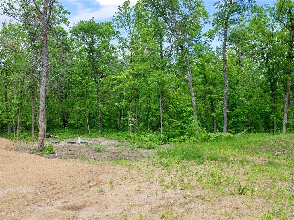 30298 County 33 Akeley MN 56433 7095336 image32