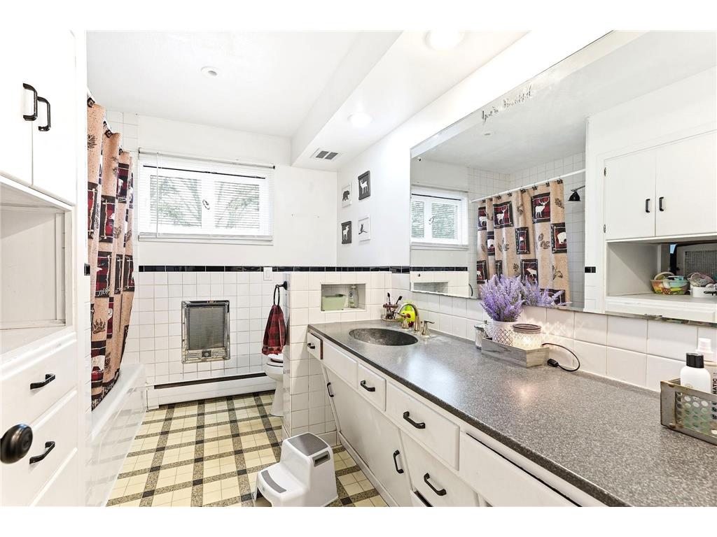 303 3rd Avenue SW Medford MN 55049 6818785 image17