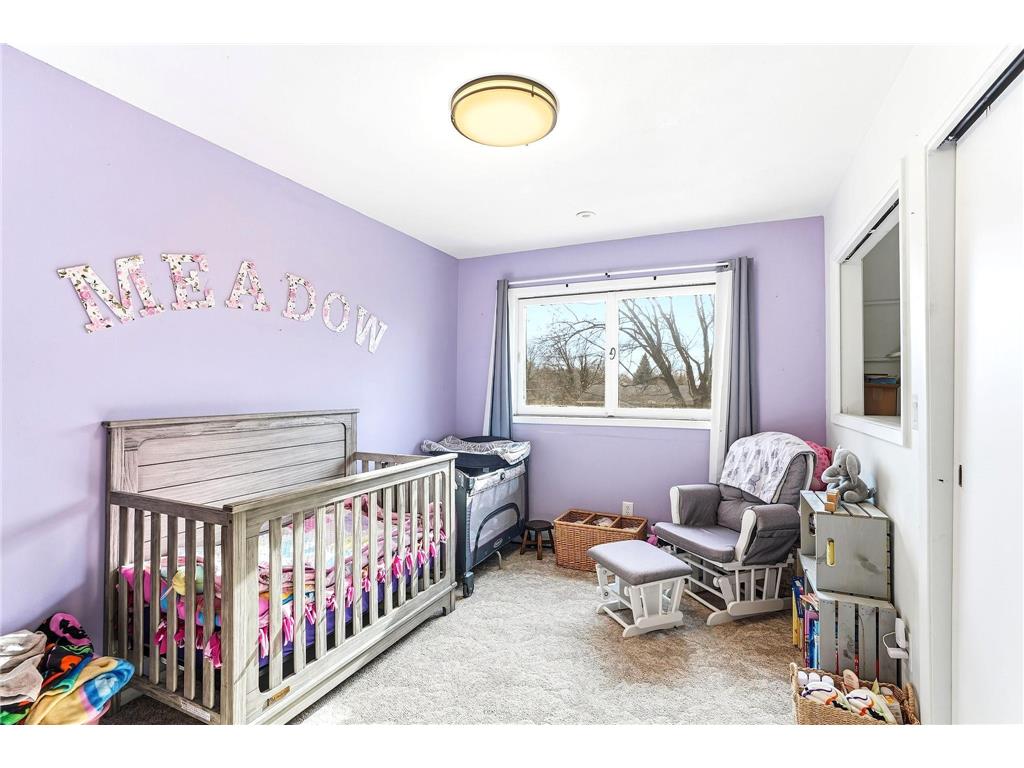 303 3rd Avenue SW Medford MN 55049 6818785 image19