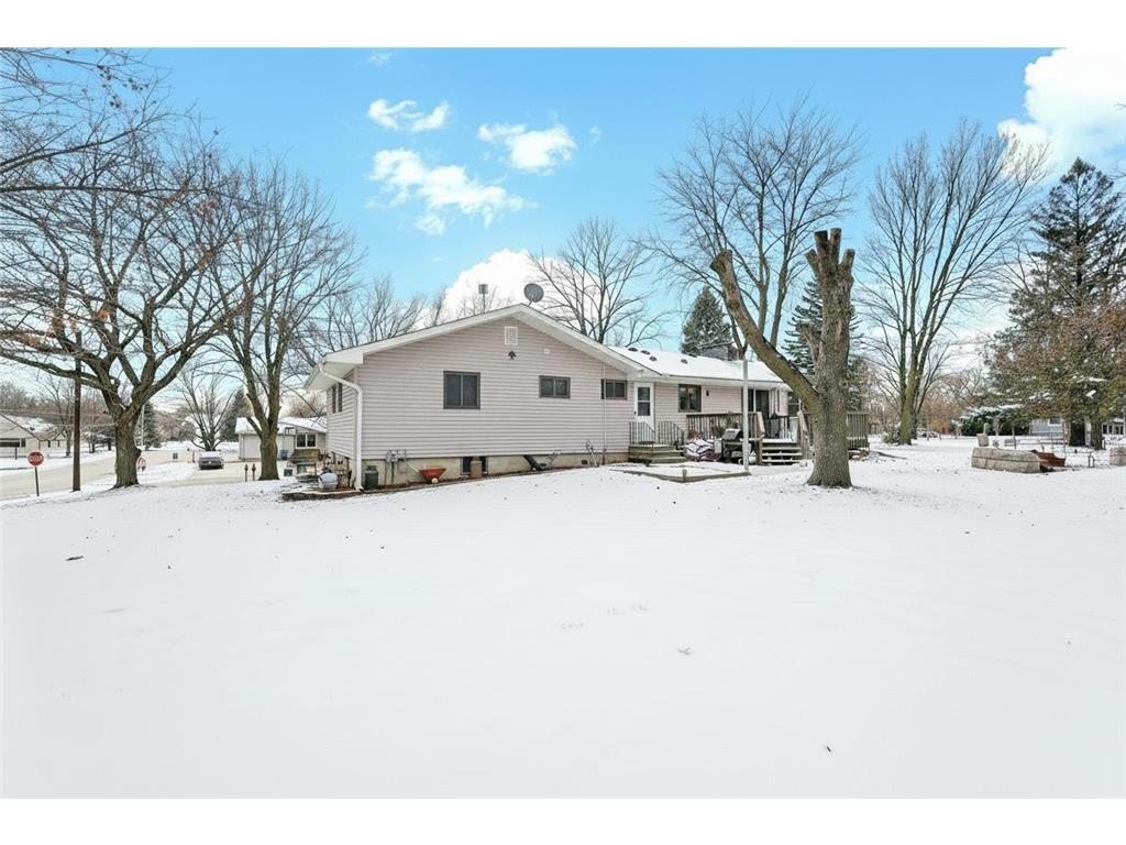 303 3rd Avenue SW Medford MN 55049 6818785 image4