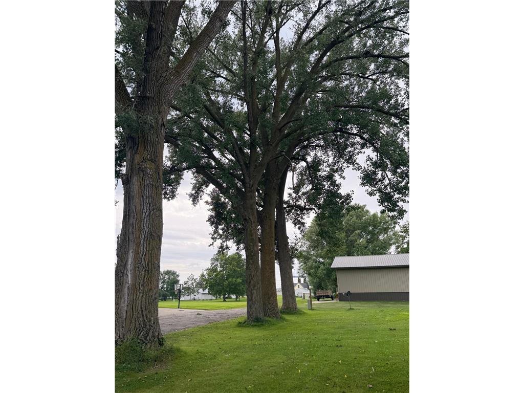 303 4th Street S Hoffman MN 56339 6815705 image32