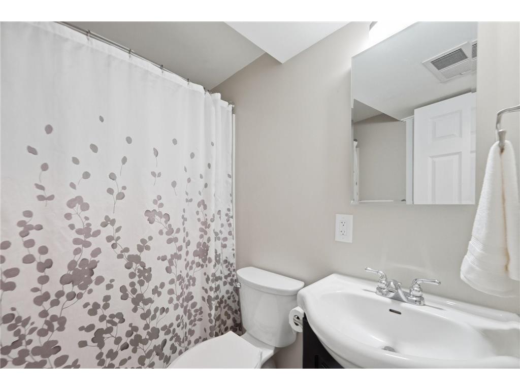 303 Upplanda Street Buffalo MN 55313 7114221 image30