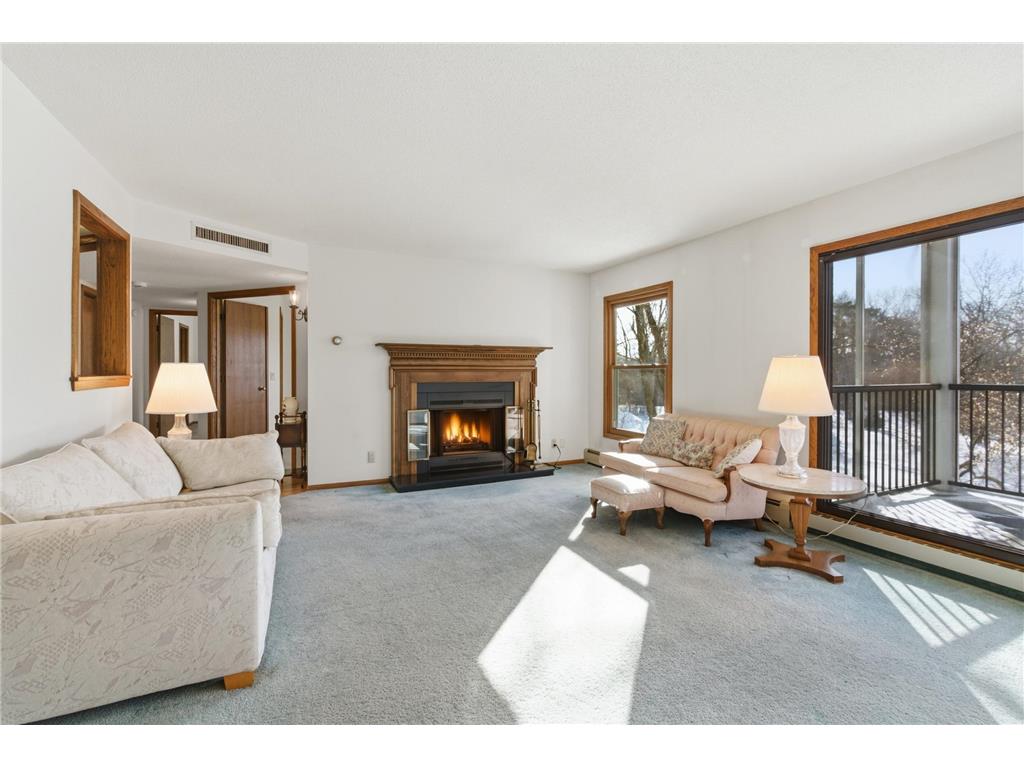 3030 Saint Albans Mill Road #213 Minnetonka MN 55305 - Minnehaha Creek 7010290 image1