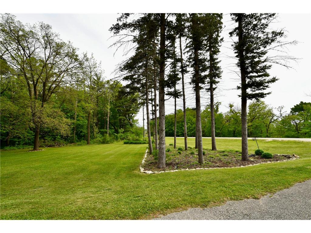 30300 County 1 Sumner Twp MN 55975 7075495 image35