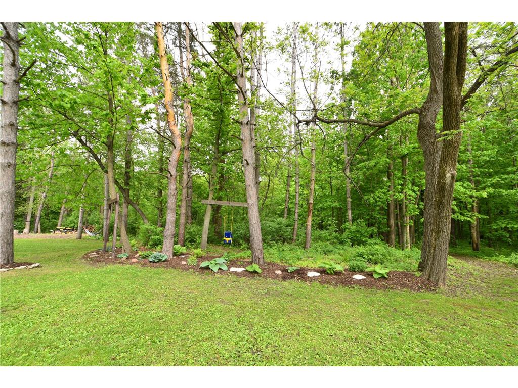 30300 County 1 Sumner Twp MN 55975 7075495 image37