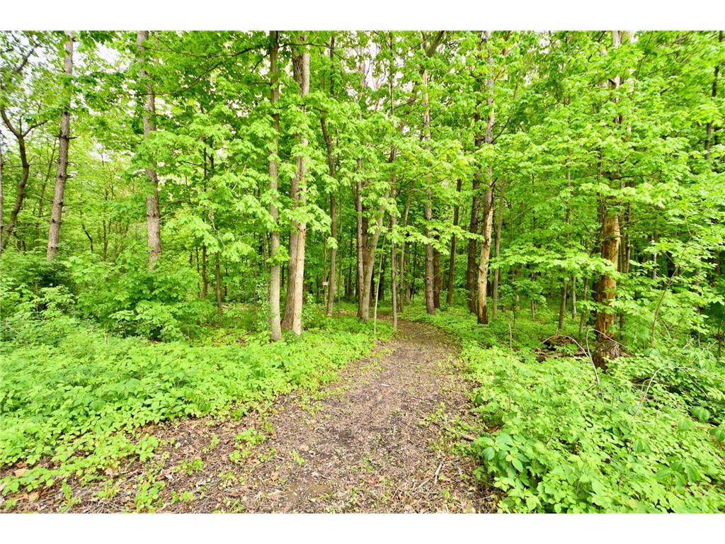 30300 County 1 Sumner Twp MN 55975 7075495 image38