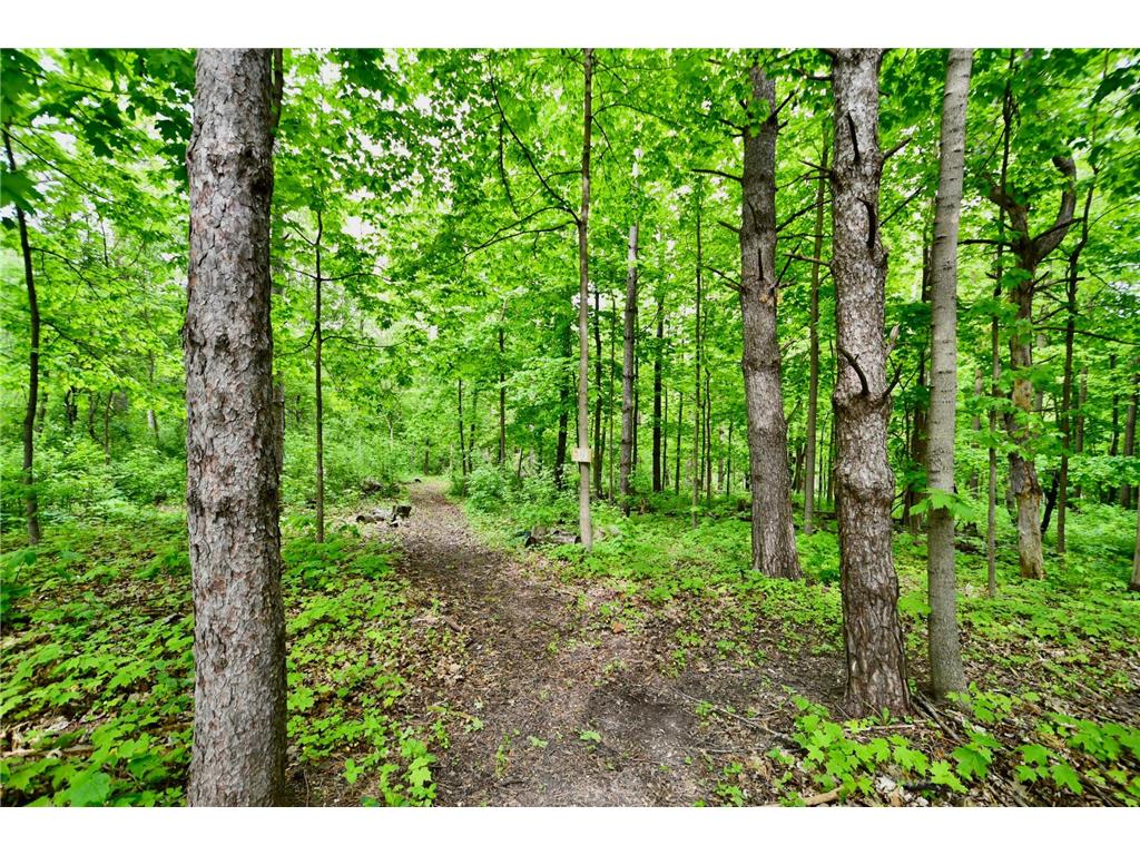 30300 County 1 Sumner Twp MN 55975 7075495 image39